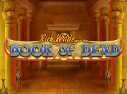 Book of Dead Slot